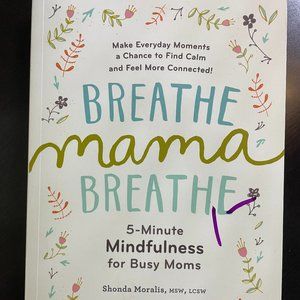 Breathe, Mama, Breathe: 5-Minute Mindfulness for Busy Moms  Brand New 1st Ed